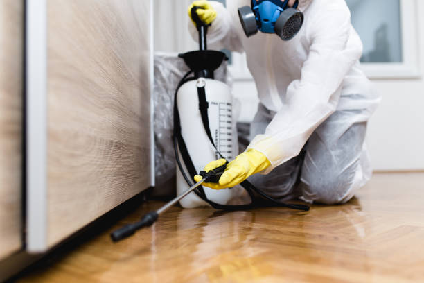 Best Best Pest Control Companies  in Anthony, NM