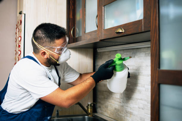 Best Cockroach Control Services  in Anthony, NM