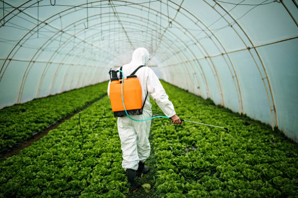 Best Pest Inspection Near Me  in Anthony, NM