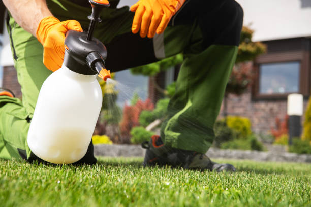 Best Affordable Pest Control Services  in Anthony, NM