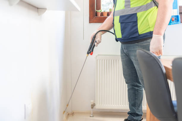 Best Cockroach Control Services  in Anthony, NM