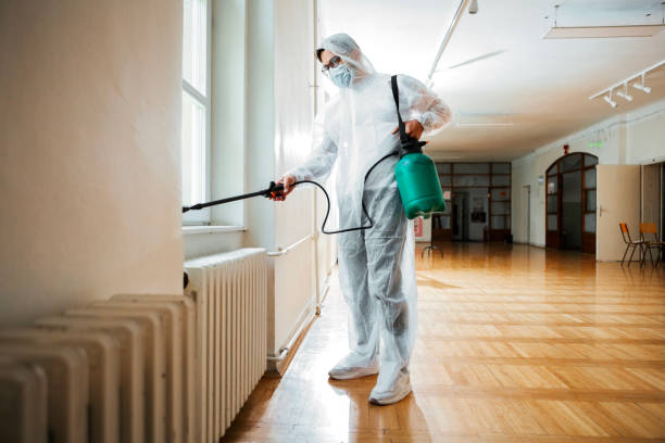 Best Pest Prevention Services  in Anthony, NM
